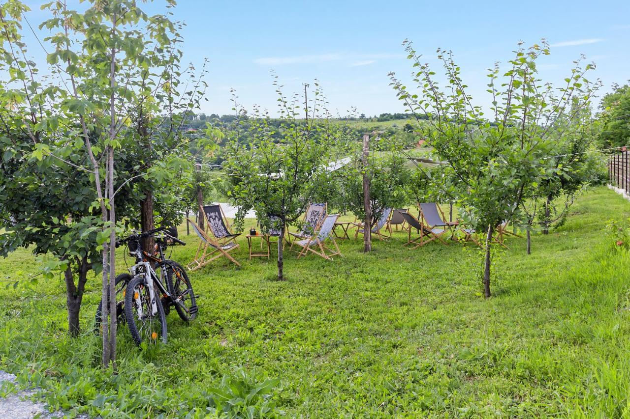 Arta Chalet Ceptura de Jos Kültér fotó