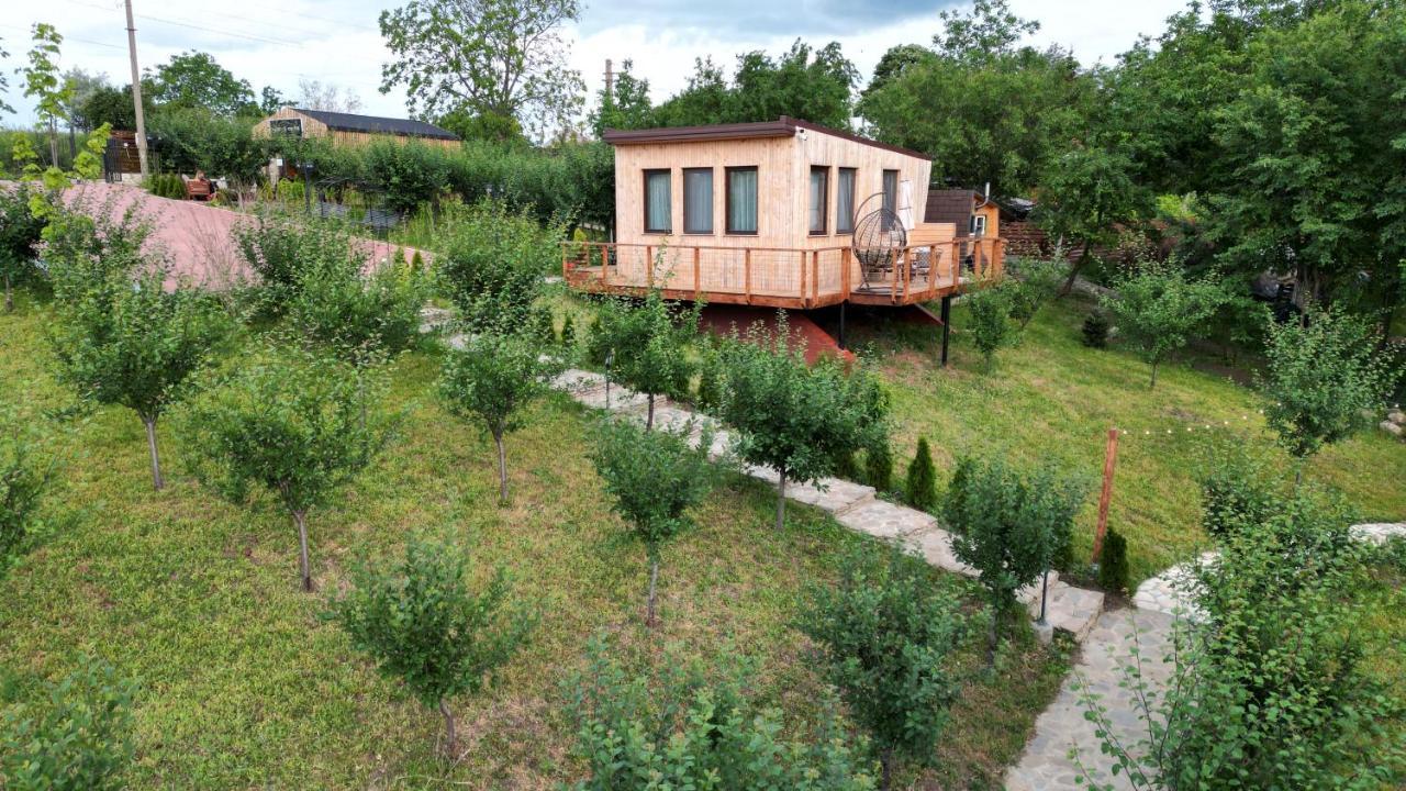 Arta Chalet Ceptura de Jos Kültér fotó